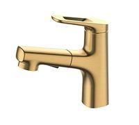 Rubinetto da bagno dorato con doccetta estraibile in ottone rubinetto miscelatore per il lavaggio dei capelli 2 modalità di flusso d'acqua Rubinetto moderno singolo rubinetto Tory Elegante impianto