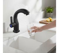 Rubinetto da bagno in ABS robusto rubinetto a leva singola acqua fredda argento