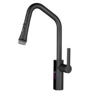 Rubinetto da cucina ad arco alto con spruzzatore estraibile e display della temperatura, rubinetto per lavello in ottone monocomando, finitura nera, per cucine moderne