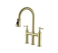Rubinetto da cucina con spruzzatore estraibile Rubinetti estraibili for lavello commerciale moderno in ottone for acqua calda e fredda for montato sul ponte Due maniglie Cromo(Brushed Gold)