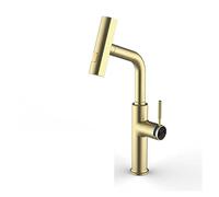 Rubinetto da Cucina di Lusso Oro Spazzolato Tira Fuori Design Outlet Singola Maniglia a Doppio Controllo per cucine Eleganti