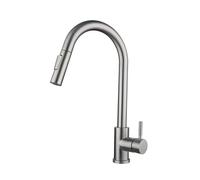 Rubinetto da Cucina in Acciaio Inossidabile con Doccetta Estraibile, Miscelatore per Acqua Calda E Fredda, Ideale per Lavare Le Verdure E Pulire Il Lavello.（One Color-Cylinder-Silver）