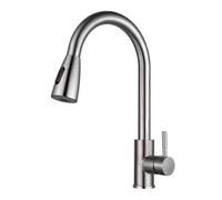 Rubinetto da Cucina in Acciaio Inossidabile con Doccetta Estraibile, Miscelatore per Acqua Calda E Fredda, Ideale per Lavare Le Verdure E Pulire Il Lavello.(One Color-Silver)