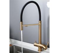 Rubinetto da cucina in ottone 2 in 1 con beccuccio estraibile filtro purificatore dell'acqua miscelatore girevole flessibile a 360° con 2 maniglie for lavello(Brushed gold)