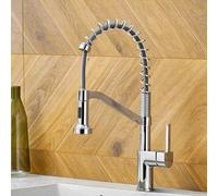 Rubinetto da cucina Miscelatore per acqua calda e fredda con maniglia singola 2 modalità di flusso d'acqua Rubinetto per lavello in ottone Installazione a 1 foro Elegante finitura argento Rubinetto