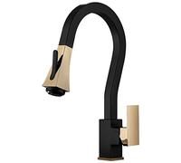 Rubinetto da cucina multifunzione moderna commerciale con spruzzatore a tiraggio a traino nera e oro con pentola per acqua calda e fredda per lavello in ottone montato in ottone. Beauty Comes