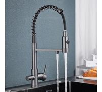 Rubinetto da cucina nero con filtro in ottone girevole a 360 ° Dual Mode Spray Grigio Miscelatore da cucina per acqua potabile Aggiornamento elegante e funzionale per cucine moderne
