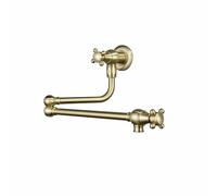 Rubinetto da cucina pieghevole a parete in oro spazzolato Doppia maniglia Foro singolo estensibile Riempitore per acqua fredda Costruzione in ottone per design salvaspazio