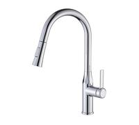 Rubinetto da cucina retrattile finitura cenere Pull Down Rubinetto girevole Rubinetto per lavello zincato Design moderno Facile da pulire Beccuccio ad arco alto ideale per uso domestico e cucina
