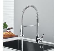 Rubinetto da cucina rimovibile Gourmet 2 modalità girevole Deck-Mount Miscelatore monocomando per acqua calda e fredda Rubinetto cromato per lavello da cucina moderno