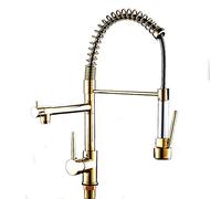 Rubinetto da cucina, rubinetto da cucina con spruzzatore tirato fuori, rubinetti da cucina tirano oro, rubinetto della cucina commerciale con acqua calda e fredda, montato sul ponte, rubinetto della