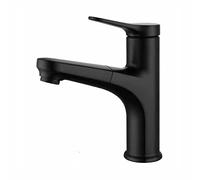 Rubinetto del bagno con spruzzatore tiro fuori spruzzatore a spruzzo rame -rame tocca per il rubinetto a foro singolo caldo e freddo manico a singola maniglia del rubinetto del bacino, nero (NERO)