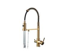 Rubinetto del filtro 'acqua da cucina Rubinetto doppio beccuccio Miscelatore for acqua potabile pura, rubinetti con funzione di purificazione 'acqua di rotazione Gru da cucina(Gold B)