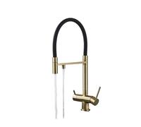 Rubinetto del filtro 'acqua da cucina Rubinetto doppio beccuccio Miscelatore for acqua potabile pura, rubinetti con funzione di purificazione 'acqua di rotazione Gru da cucina(Gold A)