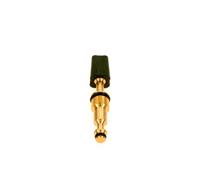 Rubinetto di carico riempimento Bosch euroline ceraclass 87074052300