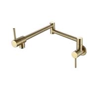 Rubinetto for riempire pentole da cucina pieghevole a parete con spruzzatore for bidet for freddo for lavandino Beccuccio girevole(Style 6 brushed gold)