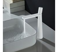 Rubinetto lavabo alte prestazioni miscelatore lavello in ottone massiccio con fi