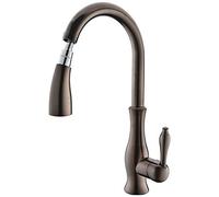 Rubinetto per lavello da cucina in bronzo lucidato ad olio con spruzzatore estraibile, rubinetto tradizionale in ottone montato su piano con testa a doppia funzione per acqua calda e fredda, finitura