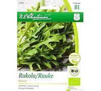 Rucola Organico, Rucola 'ezia' - Diplotaxis tenuifolia, arugula, approx. 80 Seeds ONLY