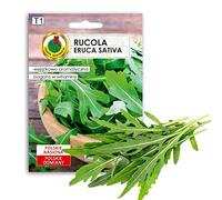 Rucola - Semi per ortaggi e mini serra, varietà precoce, nessuna chimica, ingegneria genetica, aiuto per la crescita artificiale, 100% naturale