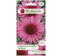 Rudbeckia purpurea, Echinacea - rosa