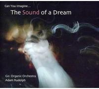 Adam Rudolph Go: Organic Orchestra - Can You Imagine The Sound Of A Dream (CD)