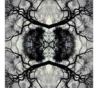 Rudolph, Adam - Sonic Mandala-Go: Organic Orchestra (2 LP)