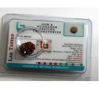 Rudraksha Java Indonesiano Perline 8,9,10,11,12,13,14 Mukhi Viso Certificato