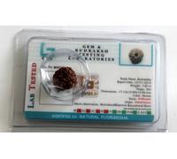 Rudraksha Java Indonesiano Perline 8,9,10,11,12,13,14 Mukhi Viso Certificato
