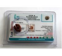 Rudraksha Java Indonesiano Perline 8,9,10,11,12,13,14 Mukhi Viso Certificato