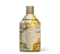 Rudy Profumi Bagno e Doccia Schiuma Arancia e Zenzero - Detergente per la Pelle - Formula Delicata con Ingredienti Idratanti - 500 ml