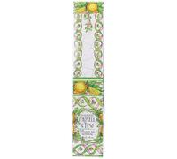 Rudy Profumi Le Maioliche Diffusore per Ambiente Citronella & Timo 250