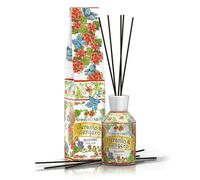 Rudy Profumi MAIOLICHE DIFFUSORE AMBIENTE GERANIO & ZENZERO 250 ML