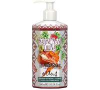 Rudy Profumi MAIOLICHE SAPONE MANI CUCINA ORTUS ANTIODORE 300 ML