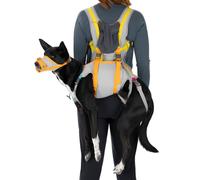 Ruffwear Kit Di Evacuazione BackTrak Per Cani