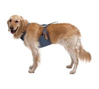 Ruffwear - Load Up Harness - Imbracatura per cani L/XL blu