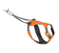 Ruffwear Treno Stoviglie & Cintura Omnijore Arancione Poppy per Cani - Jogging