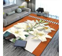 RUGMRZ Tappeti Divano Moderno Moderna Decorazione Geometrica Astratta Antiscivolo Lavabile Stanza Della Gioventù Grigio E Tappetini Tappeto Ragazza Camera Per Bambini Morbido Inter50X80Cm