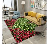 RUGMRZ Tappeto Cani 50X80Cm Tappetto Bambina Cameretta Rosso Tappeti Esterni Ingresso Divano Camera Da Letto Accessori Ragazza Arredo Lettosala De Estar Dormitorio Niña P