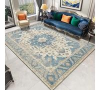 RUGMRZ Tappeto Lavabile Salotto Antiscivolante Resistente All'Inquinamento In Acqua Salone Moderno Divani Moderni Per Soggiorno Grigio Cameretta Ragazza Moderna Soprammobili 200X200CM