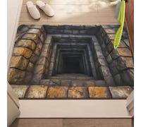 Rugs That Look Like a Hole, Dog Gets Scared of 3D Hole Carpet, 3D Trap Optical Visual Illusion Rugs, Optical Illusion Rug, for Door Entrance, Bathroom, Stairs, Living Room Decor (F,23.6 * 35.4in)