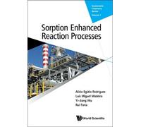 Rui Faria Alirio Egidio Rodrigues Yi-jiang Sorption Enhanced (Copertina rigida)