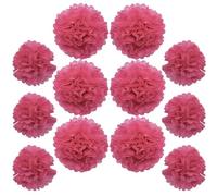 Ruidee 12 pompon di carta velina da 25,4 cm e 30,5 cm, da appendere, fiori di carta colorata, per feste e matrimoni (ZH/rosa)
