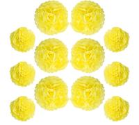 Ruidee 12 pompon di carta velina da 25,4 cm e 30,5 cm, da appendere, fiori di carta colorata, per feste e matrimoni (ZH/giallo)
