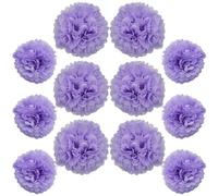 Ruidee 12 pompon di carta velina da appendere, 25,4 cm e 30,5 cm, fiori decorativi in carta colorata, per feste e matrimoni (viola chiaro)