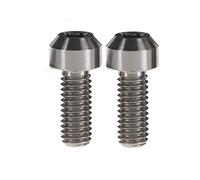 Ruifu M6 x 10 15 20 25 30 35 40 45 50 60 65 mm T30 Vite Torx Bolt Titanium Gr5 (Confezione da 2), Titanio, M6x15mm