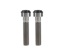 Ruifu M6 x 10 15 20 25 30 35 40 45 50 60 65 mm T30 Vite Torx Bolt Titanium Gr5 (Confezione da 2), Titanio, M6x35mm