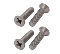Ruilogod 4 PZ M4 Thread Metric Thread 16mm lunghezza testa piatta Phillips guidare la vite in titanio