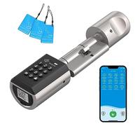 RUILON Serratura Elettronica, Serratura Intelligente a Codice per Casa Intelligente, Serratura Elettronica Impermeabile IP65 con Scheda RFID e APP, Adatta a Porte di Spessore Compreso tra 50 e 100 mm