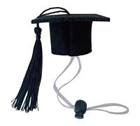 Ruilonghai Cappello Laurea Gatti, Cappelli di Laurea per Cani di Piccola Taglia con Nappa Nera, Cappello di Laurea per Animali, Cappello da scapolo per Animali di Piccola Taglia Cappello per